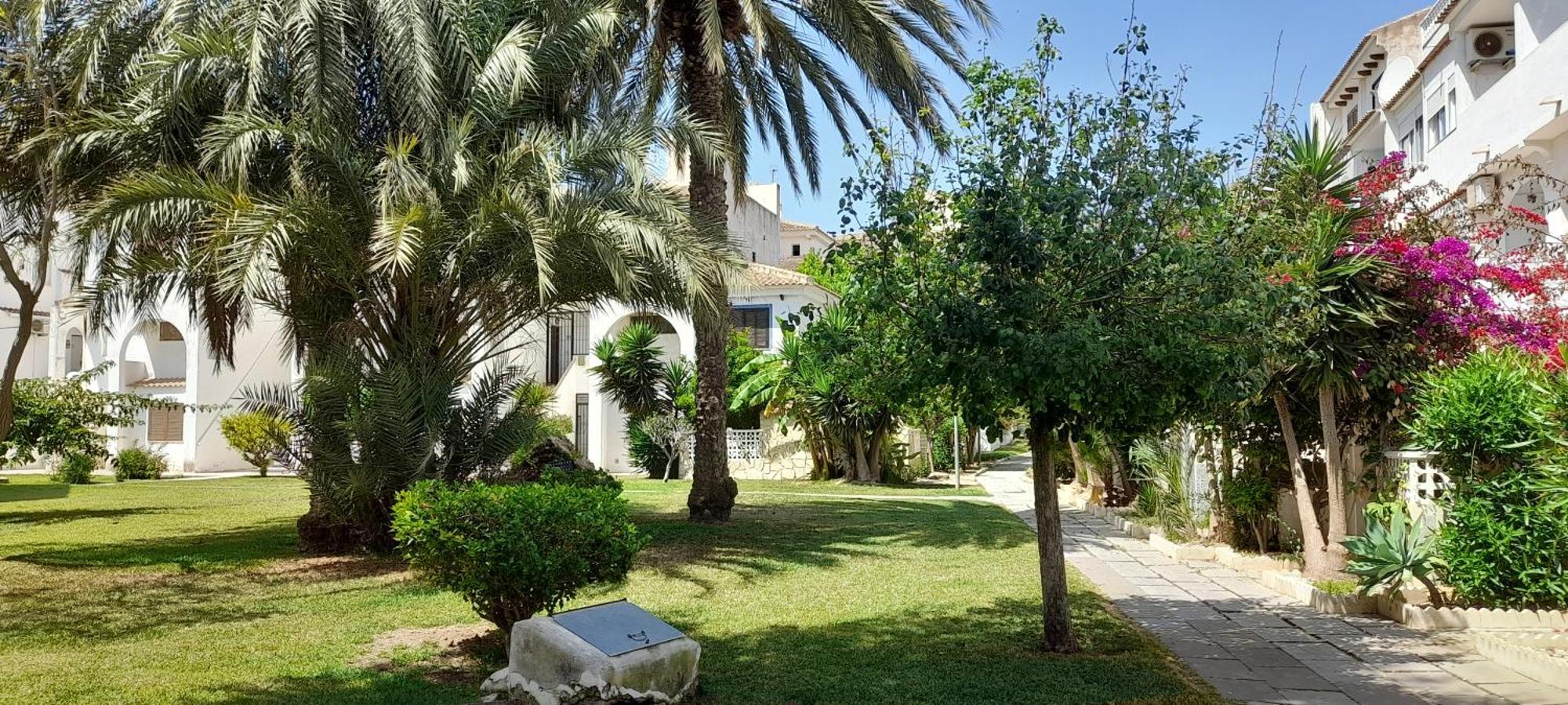 טורבייחה Apartment Los Locos Beach With Balcony And Wi-Fi מראה חיצוני תמונה